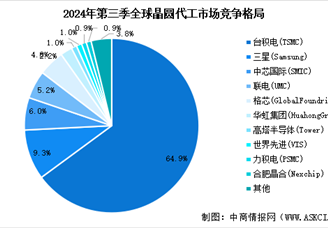 2025年中國晶圓代工行業(yè)市場前景預測研究報告（簡版）