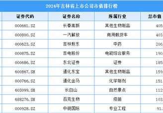 2024年吉林省上市公司市值排行榜（附榜单）