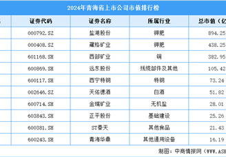 2024年青海省上市公司市值排行榜（附榜單）