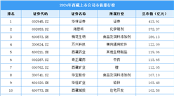 2024年西藏上市公司市值排行榜（附榜單）