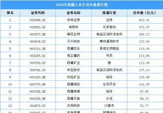 2024年西藏上市公司市值排行榜（附榜单）