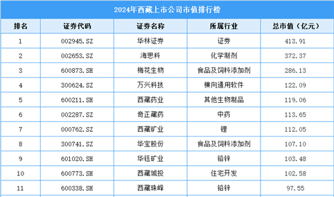 2024年西藏上市公司市值排行榜（附榜单）