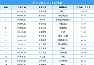 2024年宁夏上市公司市值排行榜（附榜单）