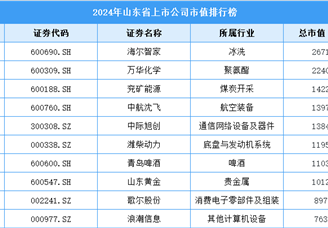 2024年山东省上市公司市值排行榜（附榜单）