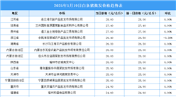 2025年1月20日全国各地最新白条猪价格行情走势分析