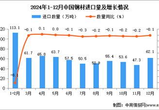 2024年12月中国钢材进口数据统计分析：进口量小幅下降