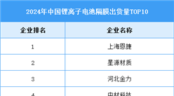 2025年中國鋰電池隔膜出貨量及企業(yè)排名預測分析（圖）