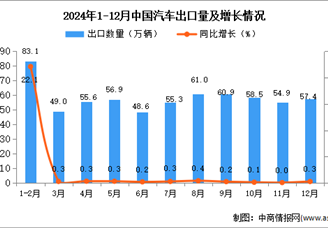 2024年12月中国汽车出口数据统计分析：出口量57.4万辆