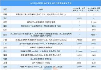 2025年中国部分地区重大项目投资额和相关表述（图）