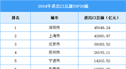 2024年进出口总额TOP20城：深圳登顶（图）