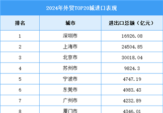 2024年外貿(mào)TOP20城進(jìn)口表現(xiàn)（圖）