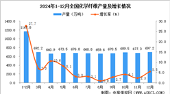 2024年12月全国化学纤维产量数据统计分析