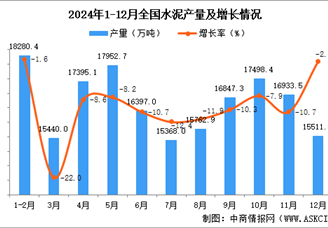 2024年12月全国水泥产量数据统计分析