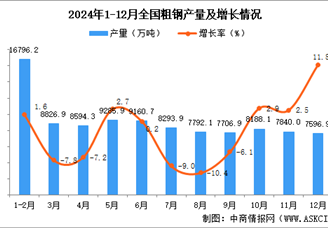 2024年12月全国粗钢产量数据统计分析