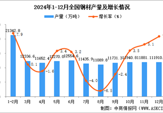 2024年12月全国钢材产量数据统计分析