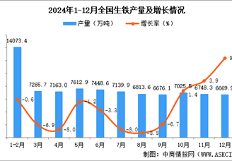 2024年12月全国生铁产量数据统计分析