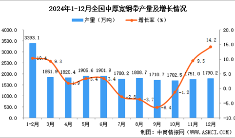 2024年12月全国中厚宽钢带产量数据统计分析