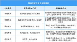 2025年中国特高压线路长度及企业布局情况预测分析（图）