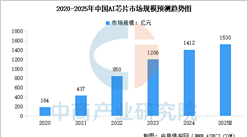 2025年中国AI芯片行业市场前景预测研究报告（简版）