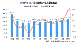 2024年12月全國銅材產量數(shù)據(jù)統(tǒng)計分析