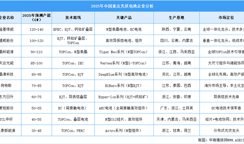 2025年中国光伏电池重点企业对比分析（图）