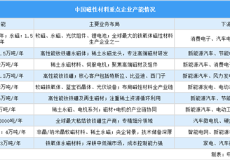 2025年中國(guó)磁性材料重點(diǎn)企業(yè)產(chǎn)能排名（圖）