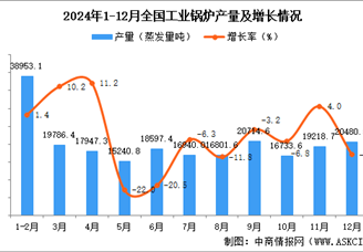 2024年12月全国工业锅炉产量数据统计分析