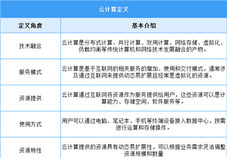 2025年中国云计算行业市场前景预测研究报告（简版）