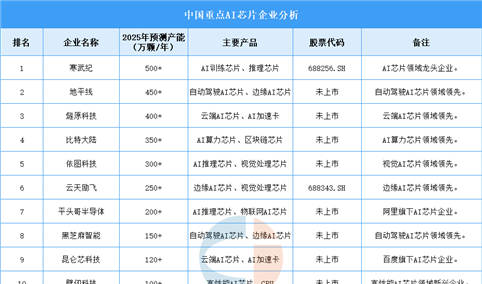 2025年中国AI芯片企业产能排名（图）