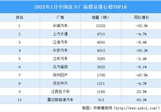 2025年1月中国皮卡厂商销量排行榜TOP10（附榜单）