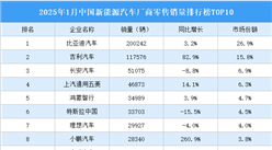 2025年1月中国新能源汽车厂商零售销量排行榜TOP10（附榜单）