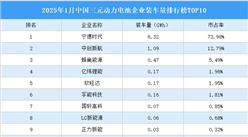 2025年1月中國三元動力電池企業(yè)裝車量排行榜TOP10（附榜單）