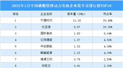 2025年1月中國(guó)磷酸鐵鋰動(dòng)力電池企業(yè)裝車量排行榜TOP10（附榜單）