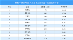 2025年1月中國公共充電樁運(yùn)營量前十運(yùn)營商排行榜（附榜單）