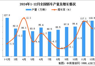 2024年12月全国轿车产量数据统计分析