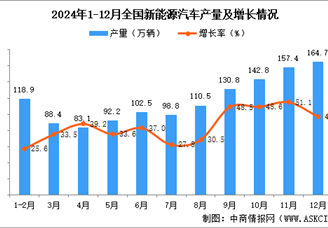 2024年12月全国新能源汽车产量数据统计分析