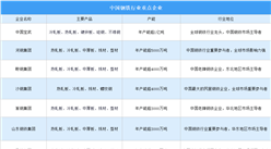 2025年中國(guó)鋼鐵行業(yè)重點(diǎn)企業(yè)對(duì)比分析（圖）