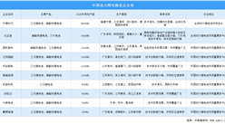 2025年中国动力锂电池重点企业对比分析（附产能、生产基地、行业地位等）