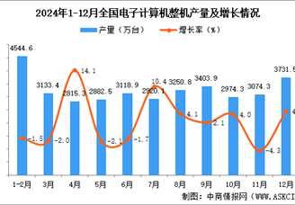 2024年12月全国电子计算机整机产量数据统计分析