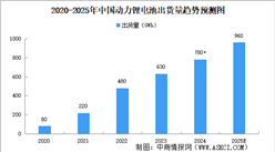 2025年中国动力锂电池行业市场前景预测研究报告（简版）