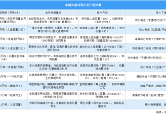 2025年中國負(fù)極材料重點企業(yè)產(chǎn)能預(yù)測（圖）
