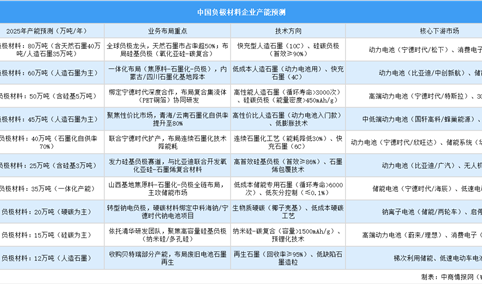 2025年中国负极材料重点企业产能预测（图）