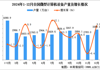 2024年12月全国微型计算机设备产量数据统计分析