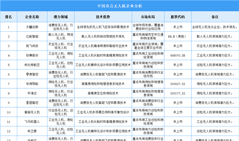 2025年中国无人机企业潜力排名(图)