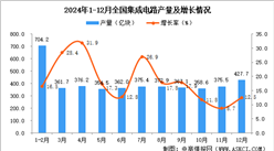 2024年12月全國集成電路產(chǎn)量數(shù)據(jù)統(tǒng)計分析