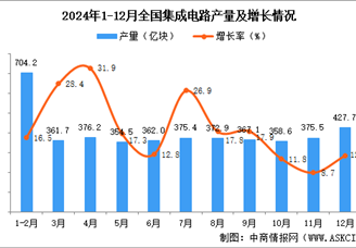 2024年12月全國集成電路產(chǎn)量數(shù)據(jù)統(tǒng)計(jì)分析