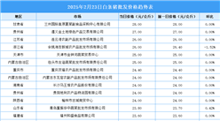 2025年2月24日全国各地最新白条猪价格行情走势分析