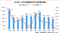 2024年12月全国智能手表产量数据统计分析