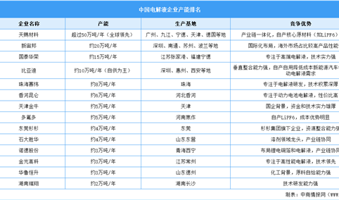 2025年中国电解液企业产能排名（图）