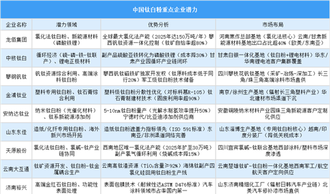 2025年中国钛白粉重点企业潜力分析（图）